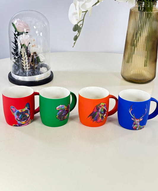 shopes Bol brillant